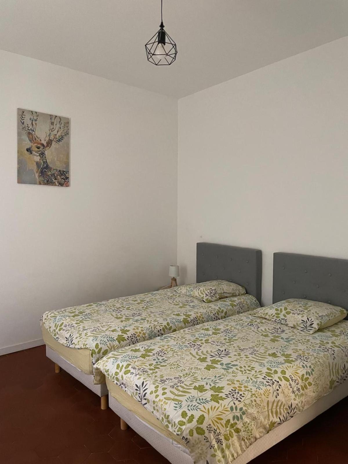 Appartement Gaudi Centre Historique Περπινιάν Εξωτερικό φωτογραφία